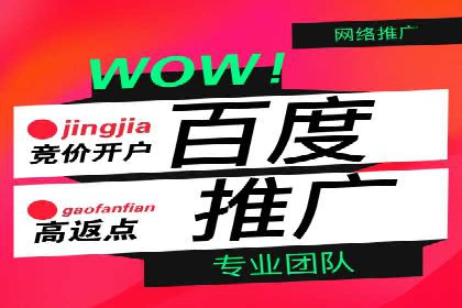 行业领先的SEM策略：成功案例与经验分享